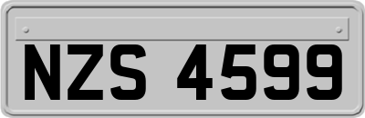 NZS4599
