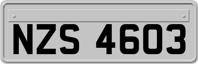 NZS4603