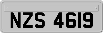 NZS4619
