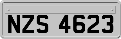 NZS4623