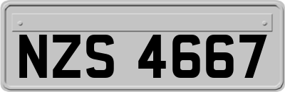NZS4667