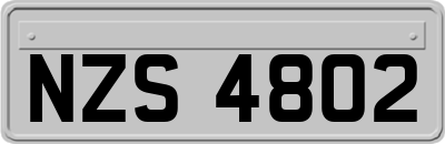 NZS4802