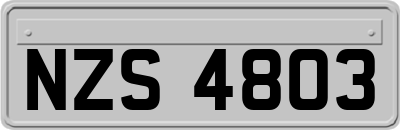 NZS4803