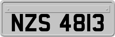 NZS4813