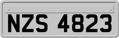 NZS4823