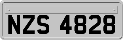 NZS4828