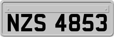 NZS4853