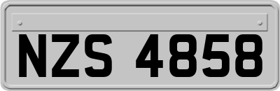 NZS4858