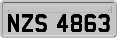 NZS4863