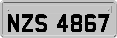 NZS4867