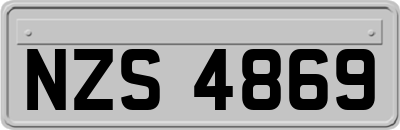 NZS4869