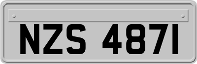 NZS4871