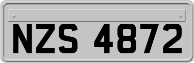 NZS4872