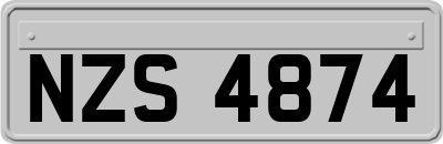 NZS4874