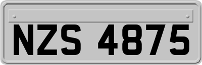 NZS4875