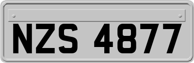NZS4877