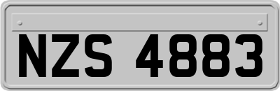 NZS4883