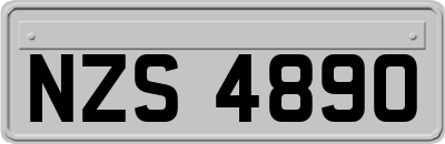 NZS4890