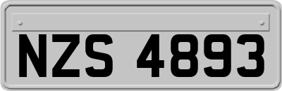 NZS4893