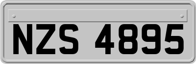 NZS4895