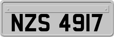 NZS4917