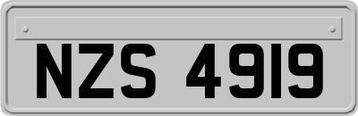 NZS4919