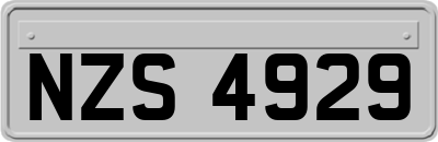 NZS4929