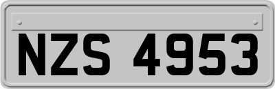 NZS4953
