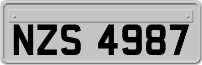 NZS4987