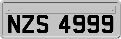 NZS4999