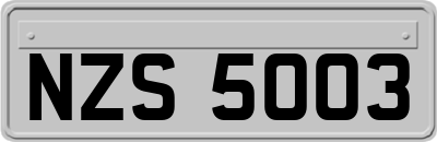 NZS5003