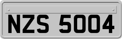 NZS5004
