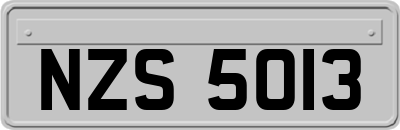 NZS5013