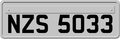 NZS5033