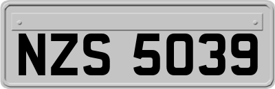 NZS5039