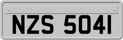 NZS5041