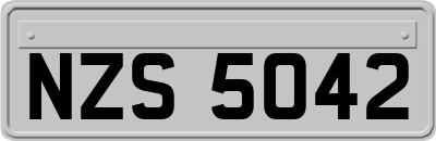 NZS5042