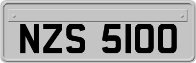 NZS5100