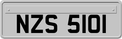 NZS5101