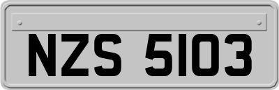 NZS5103