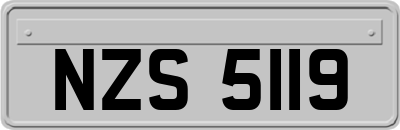 NZS5119