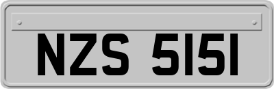 NZS5151