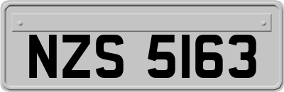NZS5163