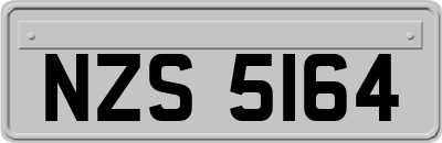 NZS5164