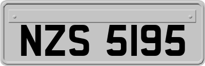 NZS5195