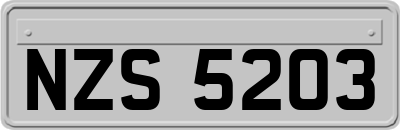 NZS5203
