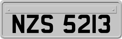 NZS5213