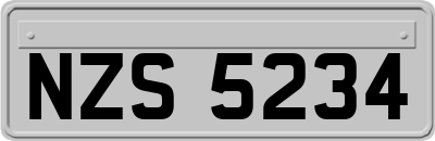 NZS5234