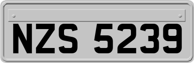 NZS5239