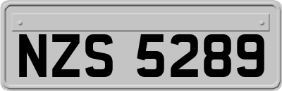 NZS5289